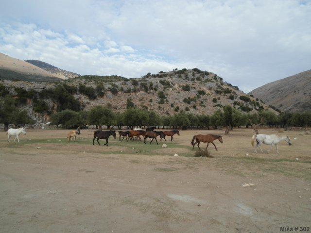 Albánií křížem krážem